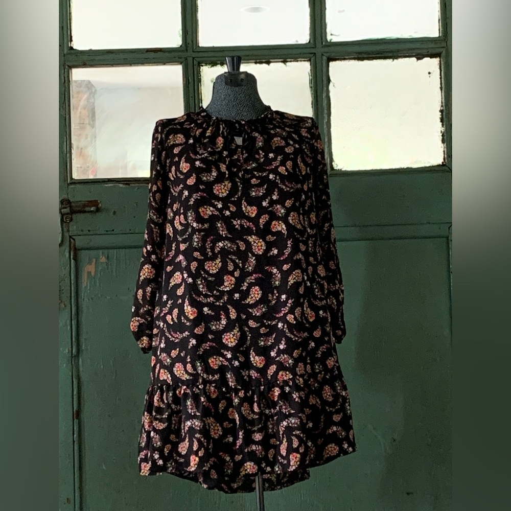 Long sleeve paisley dress.
